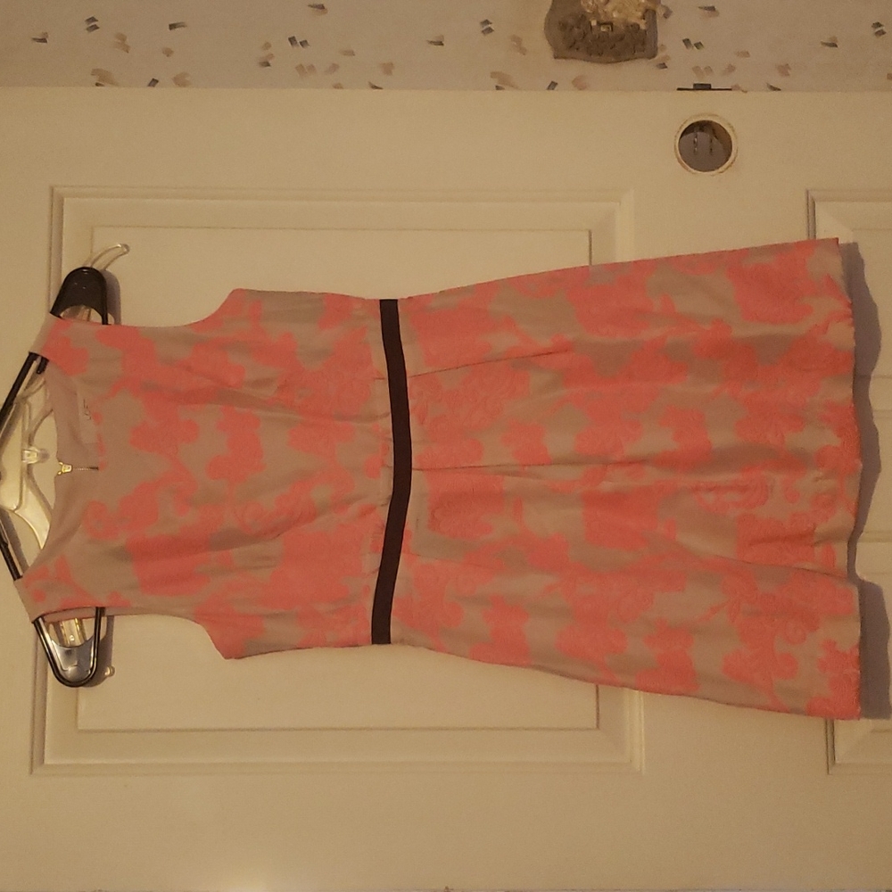 Ann Taylor Loft Dress
